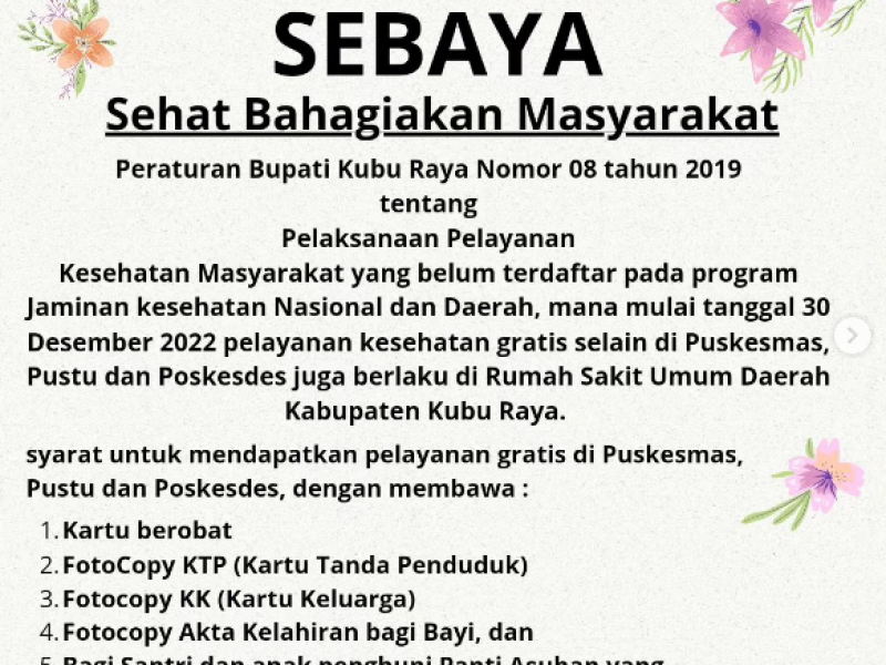 Program Sebaya
